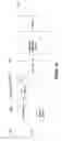 Fig. 15 - Programmatical access to handwritten electronic ink in a tree-based rendering environment