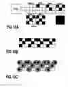 Fig. 11 - Ink jet printing system