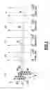 Fig. 03 - Ink jet printing apparatus, ink jet printing method, method of setting print control mode, and program