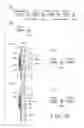 Fig. 08 - Ink consumption detecting method, and ink jet recording apparatus