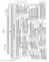 Fig. 33 - Data storage usage protocol