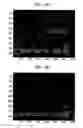 Fig. 09 - Method and apparatus for improving quality of composite video signal and method and apparatus for decoding composite video signal