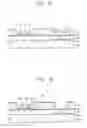 Fig. 20 - Display device, method of manufacturing the same and mask for manufacturing the same