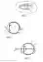 Fig. 02 - Mask configured to maintain nutrient transport without producing visible diffraction patterns