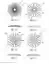 Fig. 06 - Mask configured to maintain nutrient transport without producing visible diffraction patterns