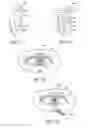 Fig. 08 - Mask configured to maintain nutrient transport without producing visible diffraction patterns