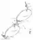 Fig. 02 - Eyeglass connection system