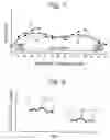 Fig. 07 - Polished state monitoring apparatus and polishing apparatus using the same