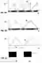 Fig. 07 - Optical safety element and system for visualising hidden information