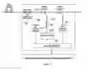 Fig. 08 - Method and system for improved eye protection safety of distributed raman amplifiers