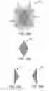 Fig. 06 - PATTERNED SURFACE ARTICLES