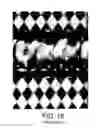 Fig. 09 - PATTERNED SURFACE ARTICLES