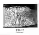 Fig. 11 - PATTERNED SURFACE ARTICLES