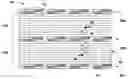 Fig. 01 - Distributed servo patterns for data storage media