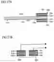 Fig. 17 - Flight state detection apparatus of micro object and flight state detection method of micro object