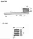 Fig. 18 - Flight state detection apparatus of micro object and flight state detection method of micro object