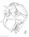 Fig. 02 - Flashlight or lighting device