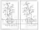 Fig. 01 - Reference scheme for a non-volatile semiconductor memory device