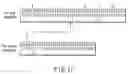 Fig. 11 - Semiconductor memory device with redundancy function