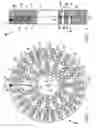 Fig. 02 - Sparging device for adding a processing fluid to a foodstuff