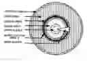 Fig. 01 - Techniques for forming burst cutting area mark
