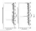 Fig. 05 - Alternative frequency strategy for DRM