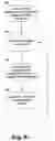Fig. 10 - Transport-neutral in-order delivery in a distributed system
