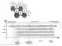Fig. 01 - Broadcast/multicast service signalling