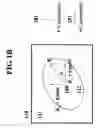Fig. 03 - Method, apparatus and module using single laser diode for simultaneous pump of two gain media characteristic of polarization dependent absorption