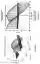 Fig. 11 - Quadrature multi-frequency ranging (QMFR) applied to GPS multipath mitigation