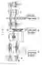 Fig. 02 - Receiving device