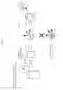 Fig. 10 - Radiographic apparatus