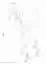 Fig. 18 - Radiographic apparatus