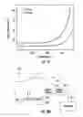 Fig. 19 - Method and apparatus for controlling electron beam current