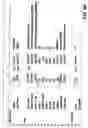 Fig. 09 - Method and apparatus for designing iris biometric systems for use in minimally constrained settings