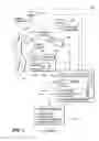 Fig. 02 - Method and apparatus for obtaining iris biometric information from a moving subject