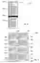Fig. 04 - Automated document processing system