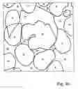 Fig. 03 - Method and arrangement for determining an object contour