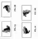 Fig. 07 - Using photographer identity to classify images