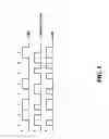 Fig. 03 - Interference-rejection coding method for an optical wireless communication system and the optical wireless communication system thereof