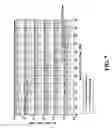 Fig. 08 - Interference-rejection coding method for an optical wireless communication system and the optical wireless communication system thereof