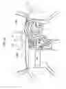 Fig. 11 - Visibility adjusting method and apparatus of vehicle