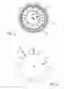 Fig. 05 - Electrographic development method and apparatus