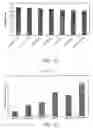Fig. 08 - Method for terminal sterilization of transdermal delivery devices