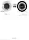 Fig. 07 - Synthesis of nanostructured materials using liquid crystalline templates