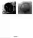 Fig. 08 - Synthesis of nanostructured materials using liquid crystalline templates