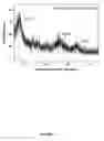 Fig. 12 - Synthesis of nanostructured materials using liquid crystalline templates