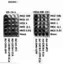 Fig. 08 - Conditionally replicating viruses and methods for cancer virotherapy