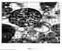 Fig. 06 - Nanotubes as mitochondrial uncouplers
