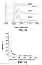 Fig. 09 - Protein formulation